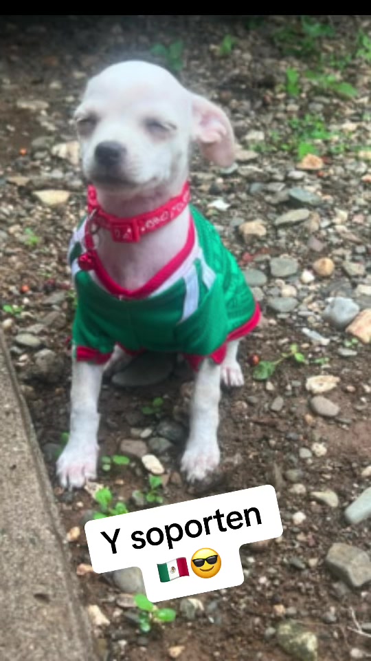 @Bere✨ De Labra✨💫🪐