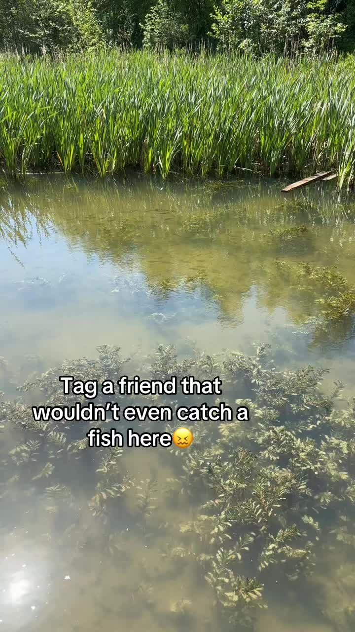 @ZB fishing🎣