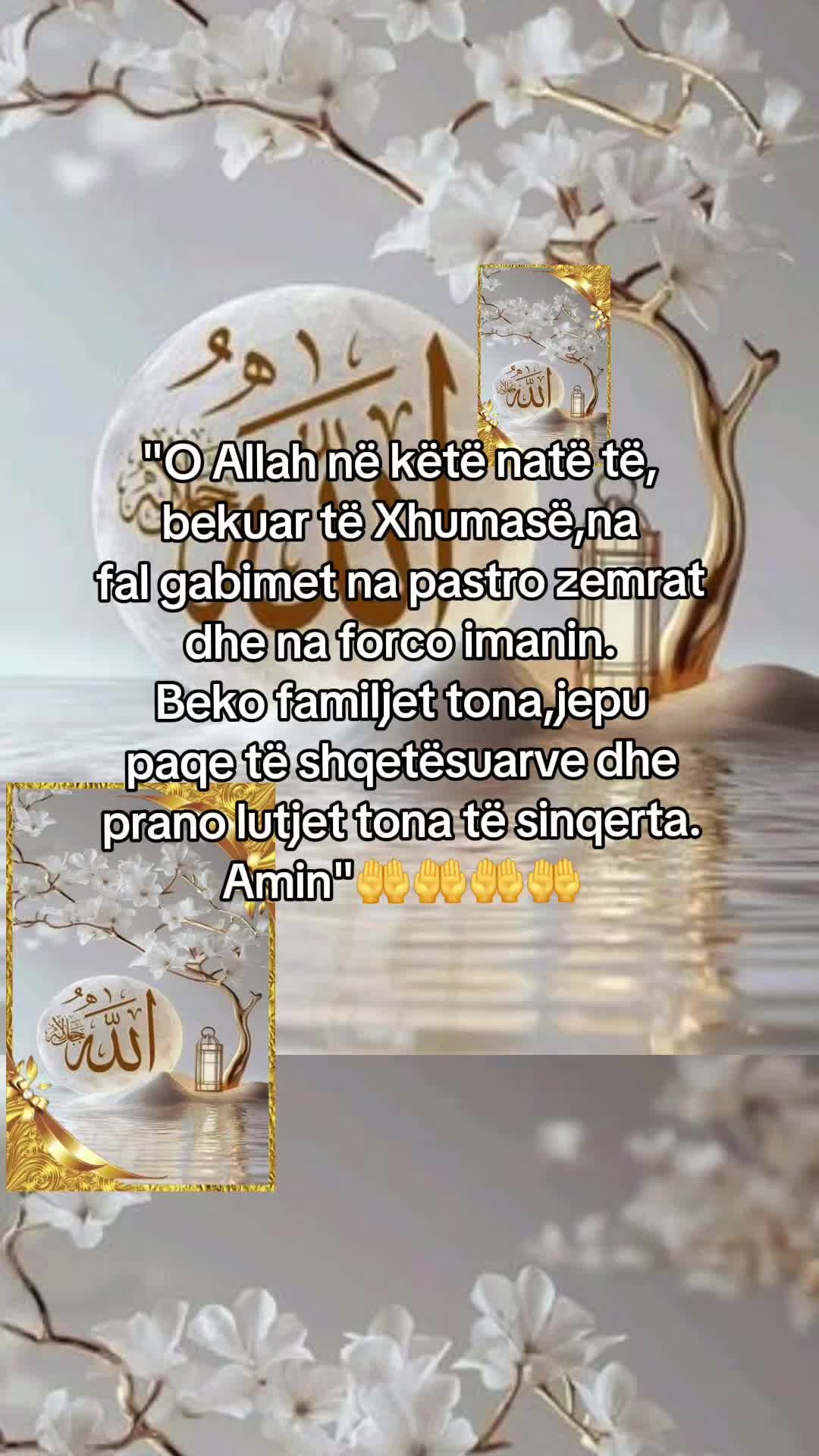 @Eli 🌸💎🌹🌸💎🌹