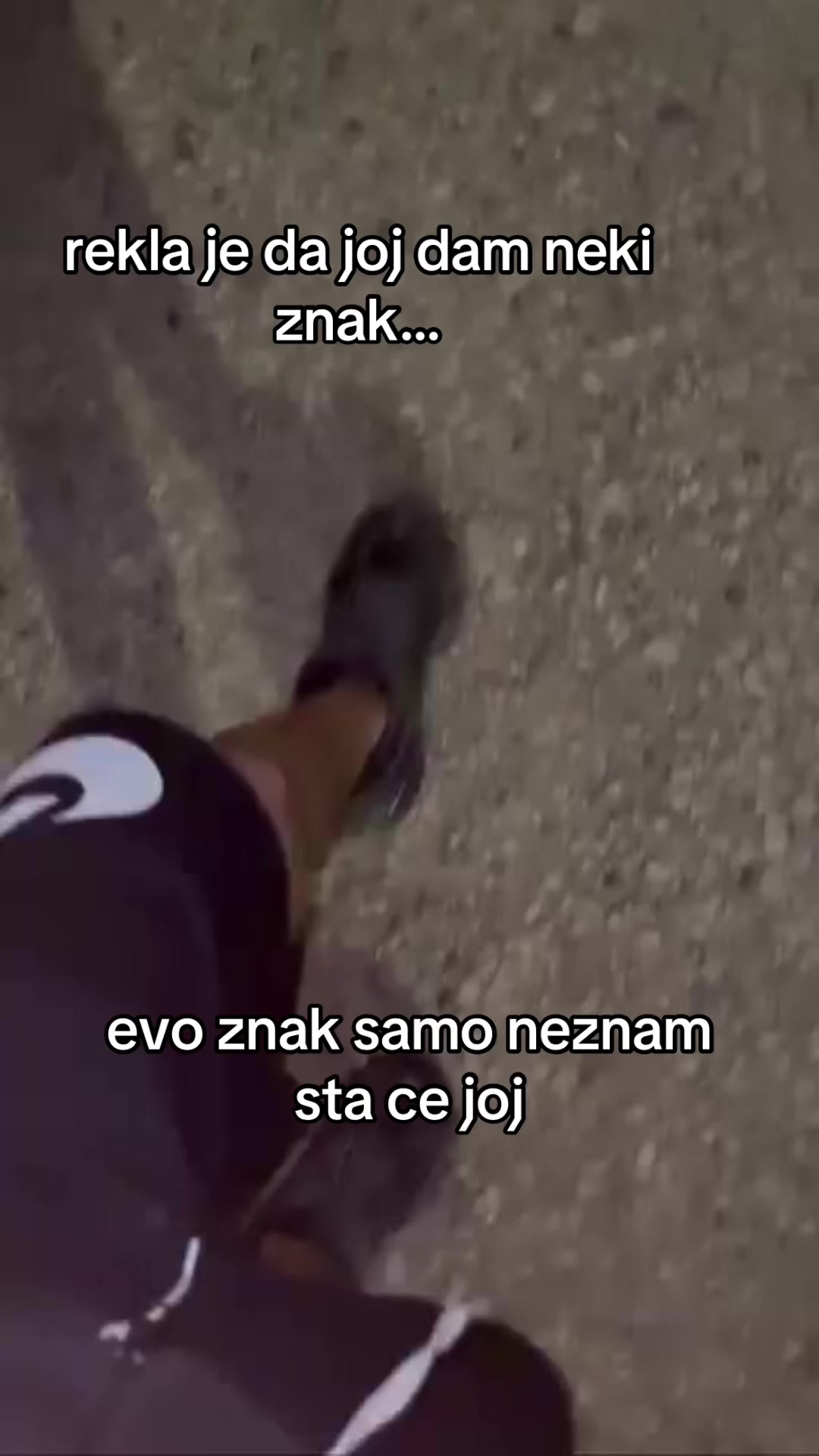 @🐽