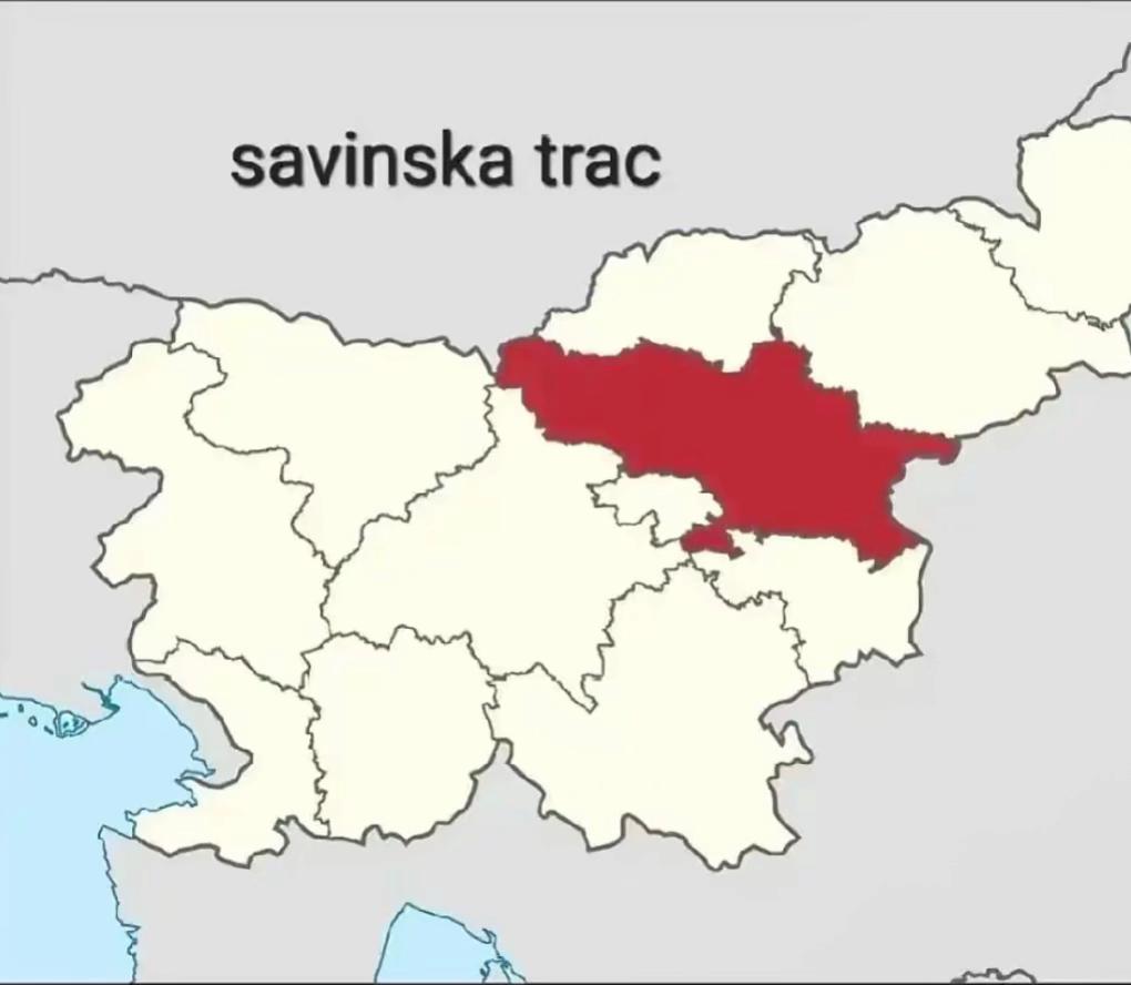 @savinska.trac