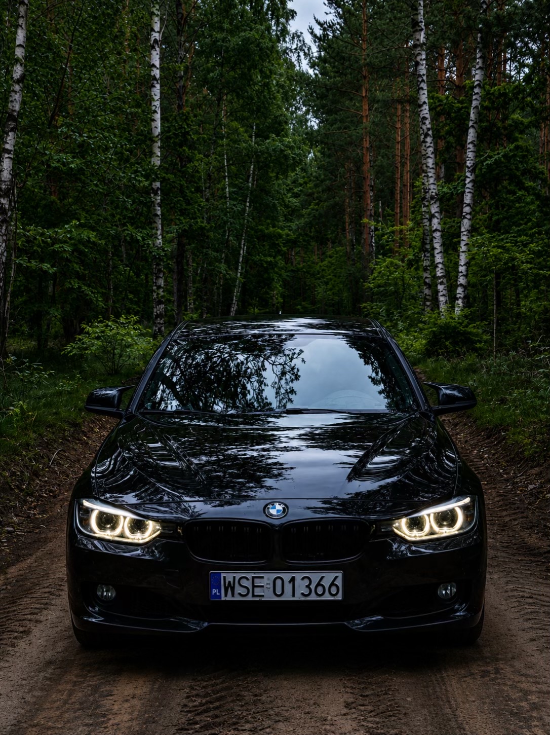 @Karol Tomaszewski