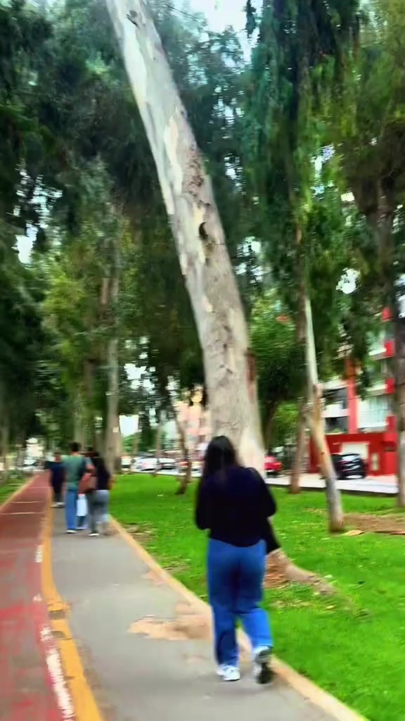 @Euclides Tarazona