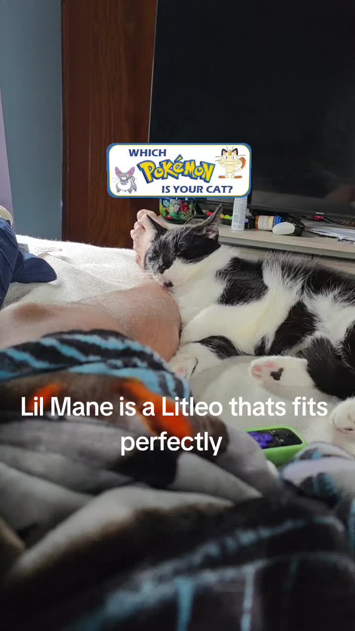 @LionsMane Sin