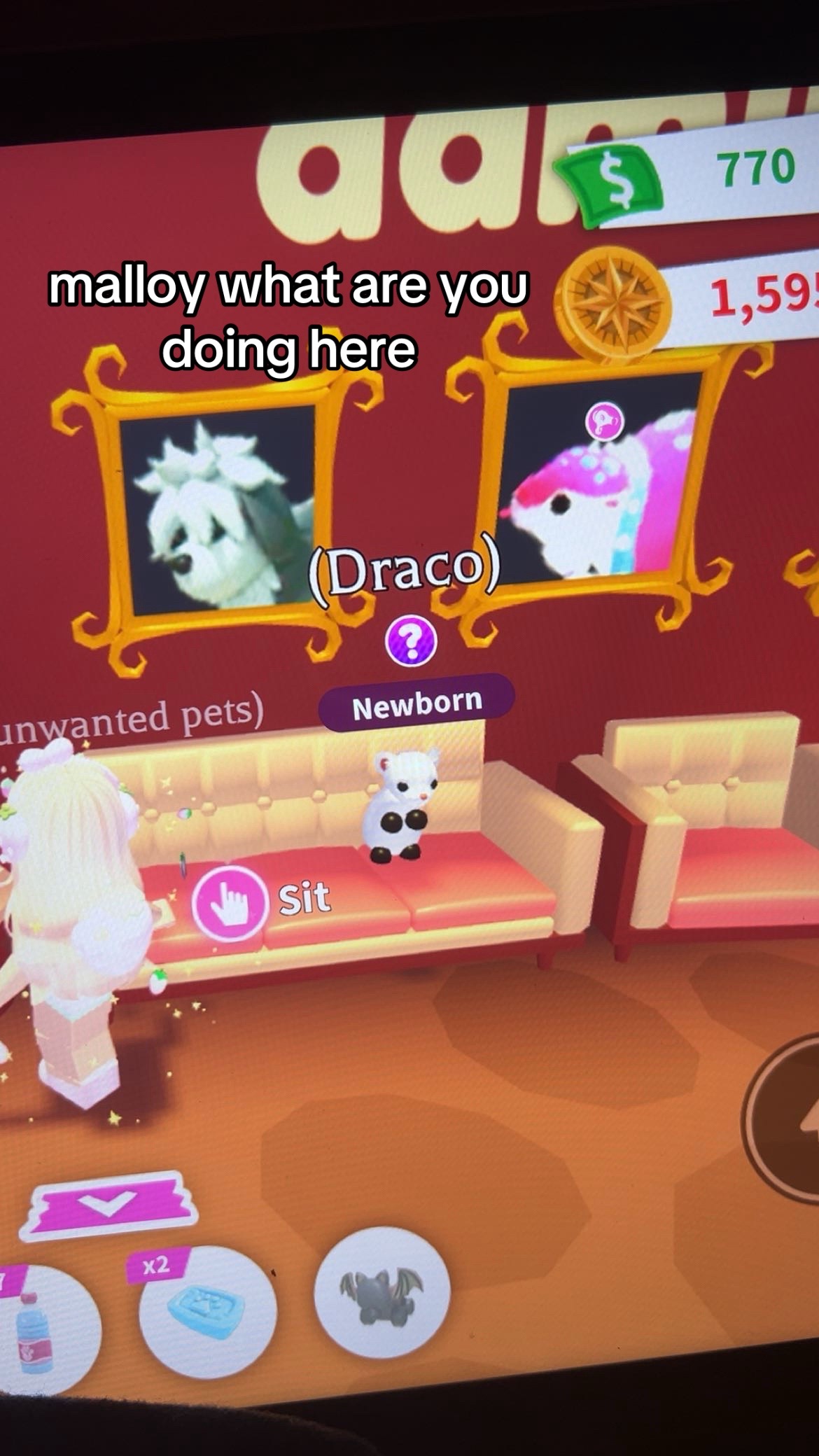 @🍩🍩