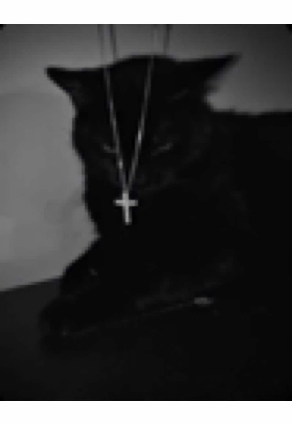 @ʸˡᵒᶜᵏ
