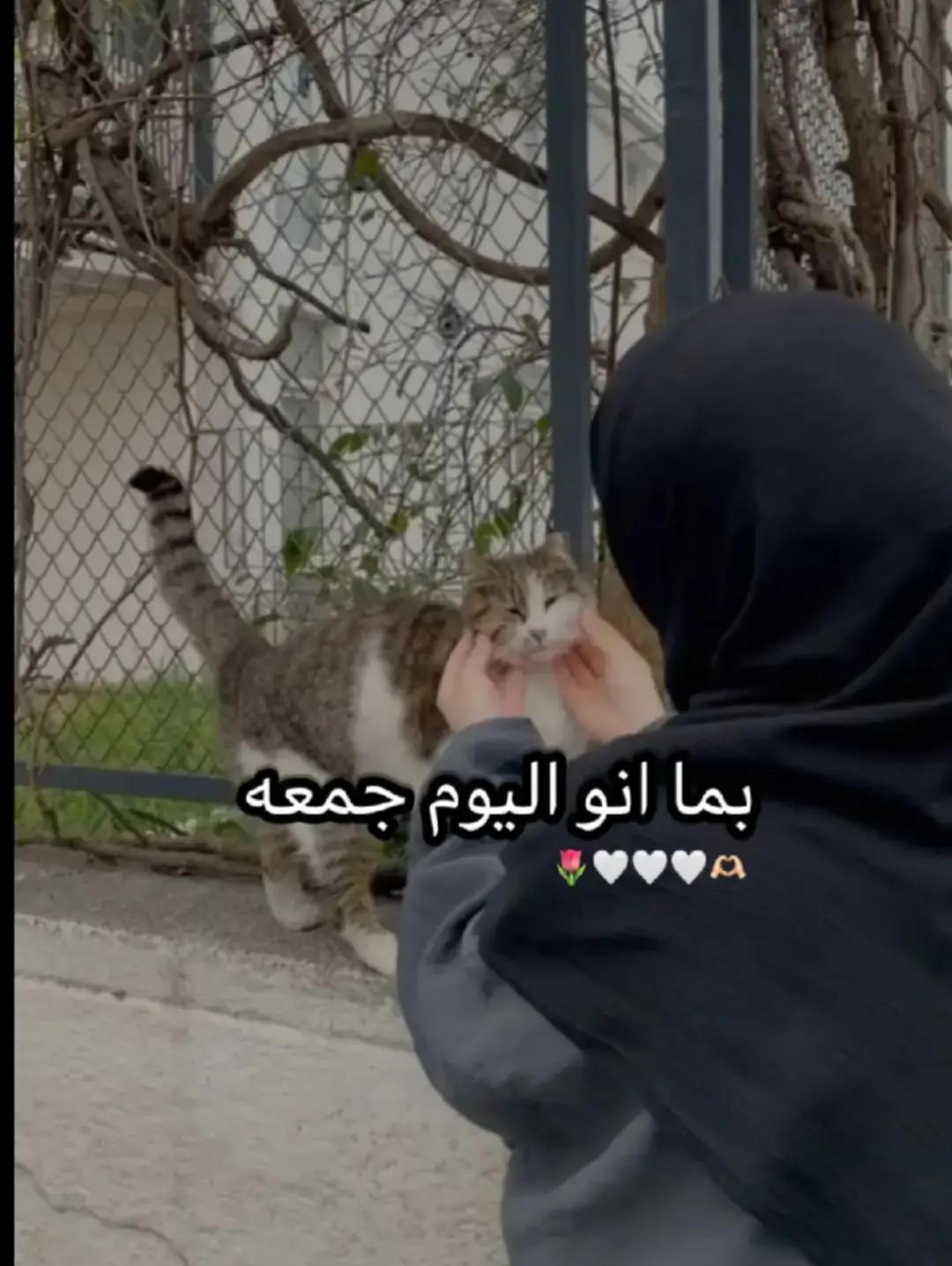 @فتااهه صاالحهه🌸ᥫᩣ.