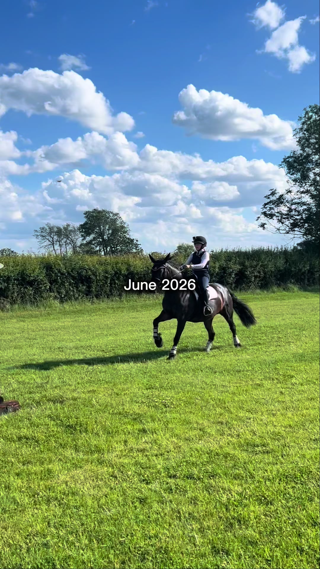 @My8hooves
