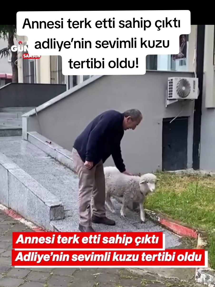 @Sorgunadair