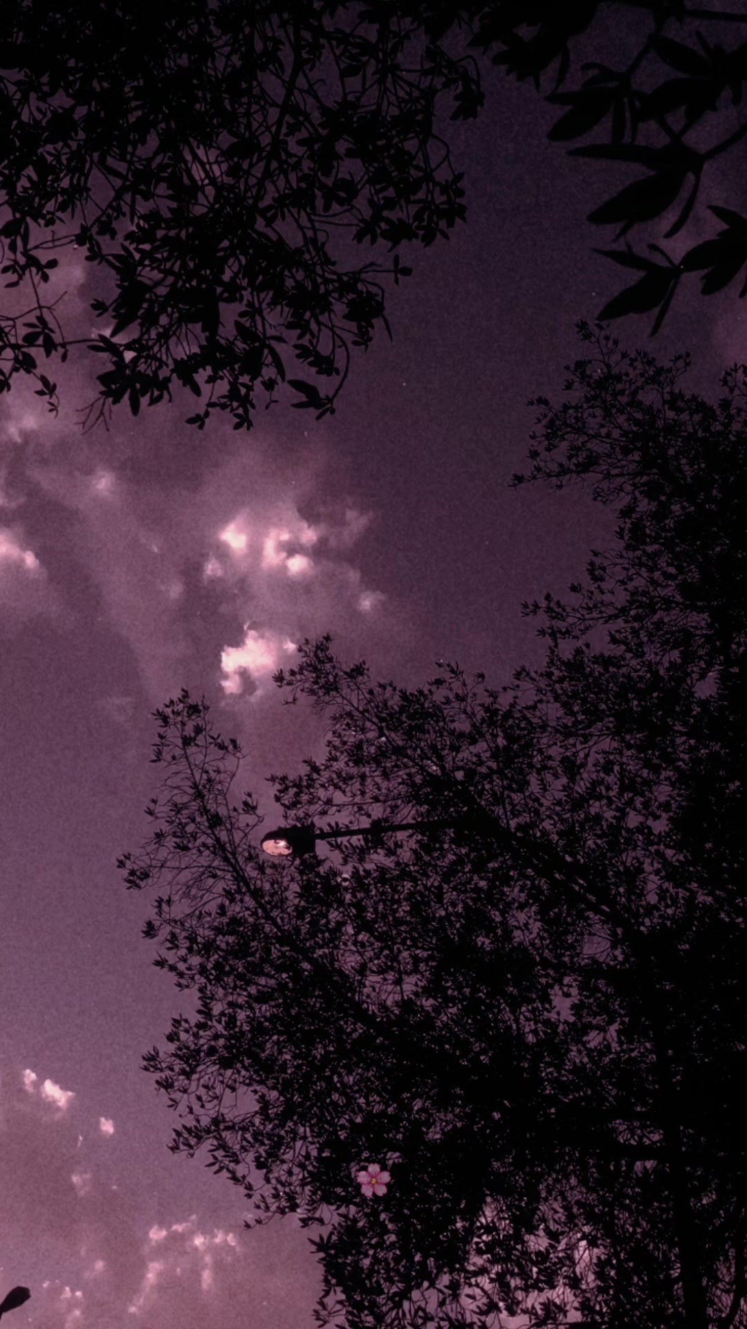 @𝙲𝚑𝚊𝚘𝚜 𝚀𝚞𝚎𝚎𝚗𝜗𝜚