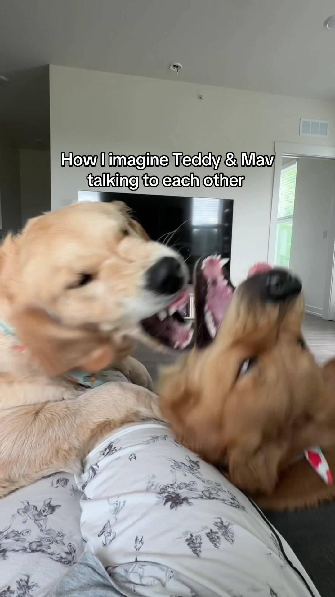 @Teddy🧸