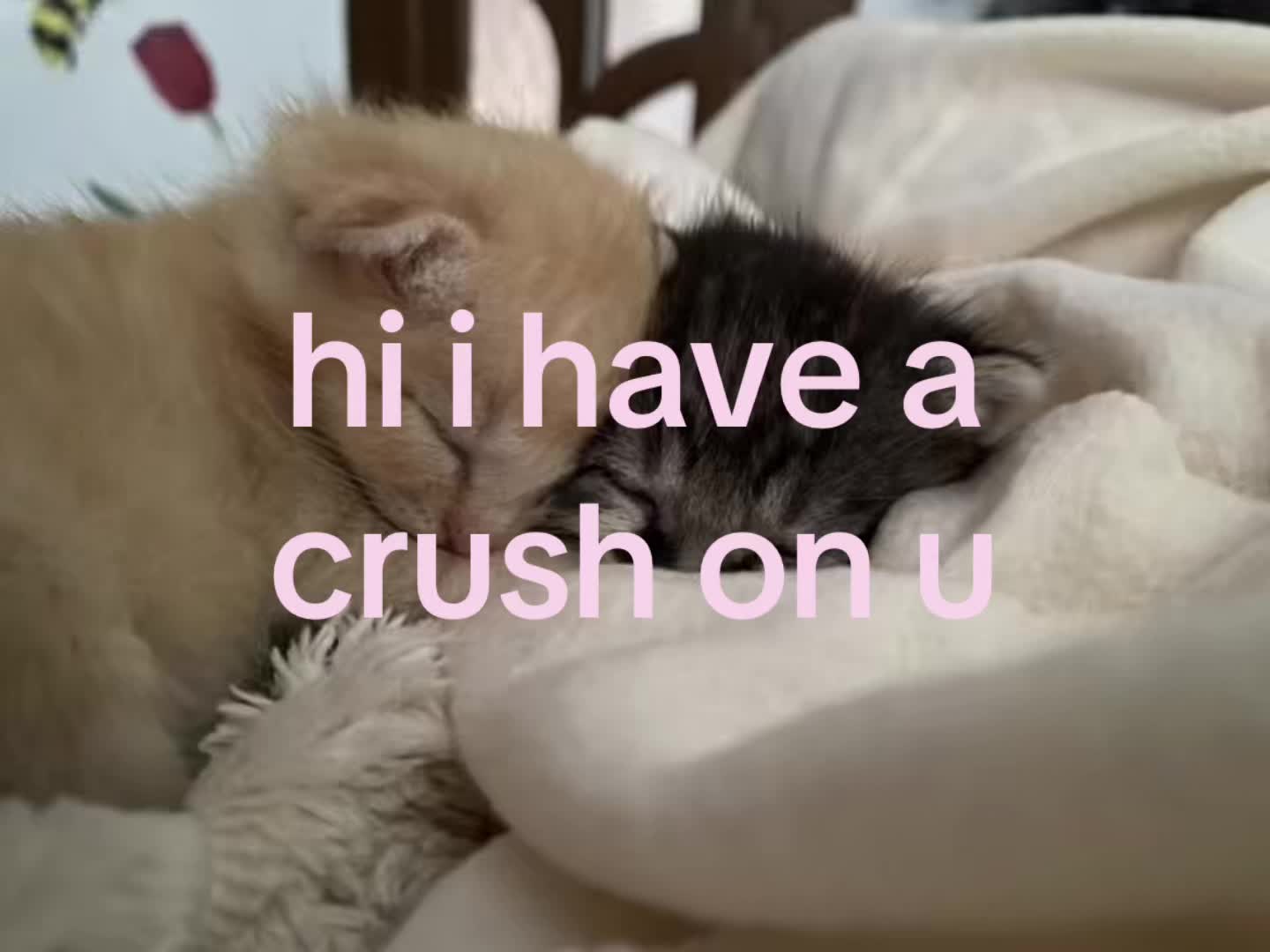 @alittlemore