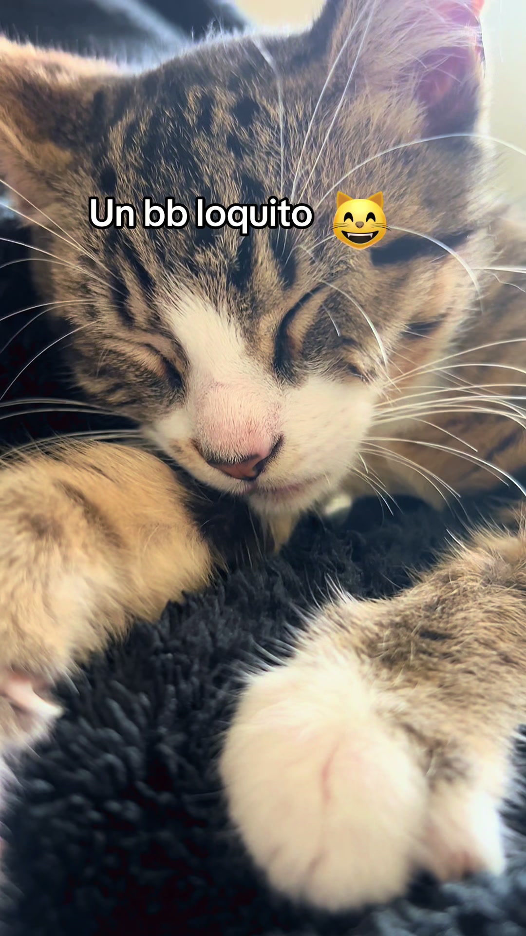 @Yazbeth Collado