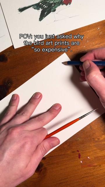 @Maltry Creative - bird art