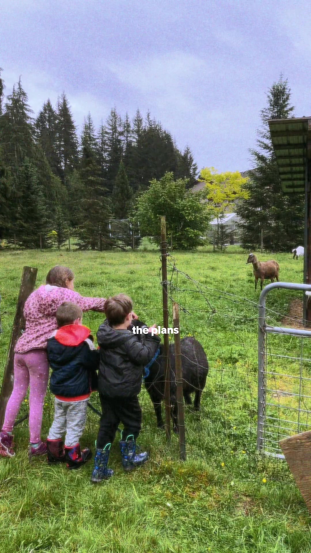 @WallytheBrave