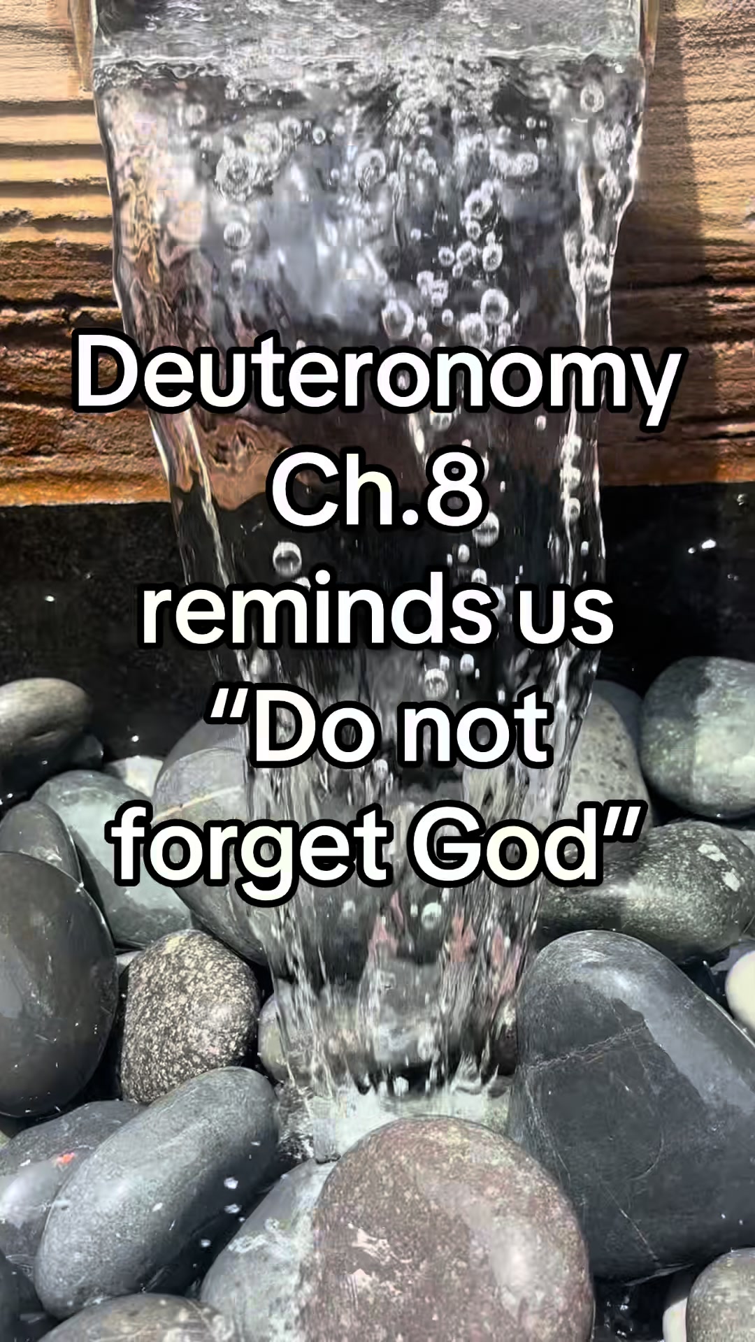 @Tia Perry | Ms.NoNiche 💖