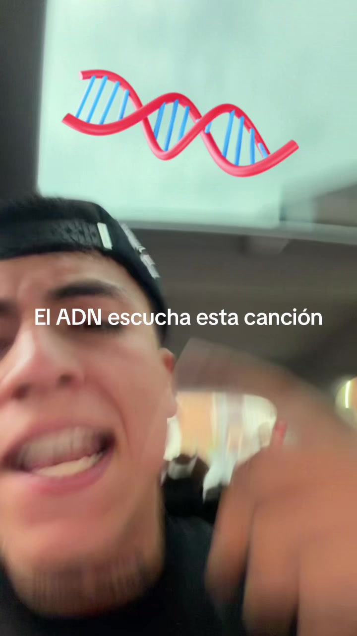 @ENDOBOY