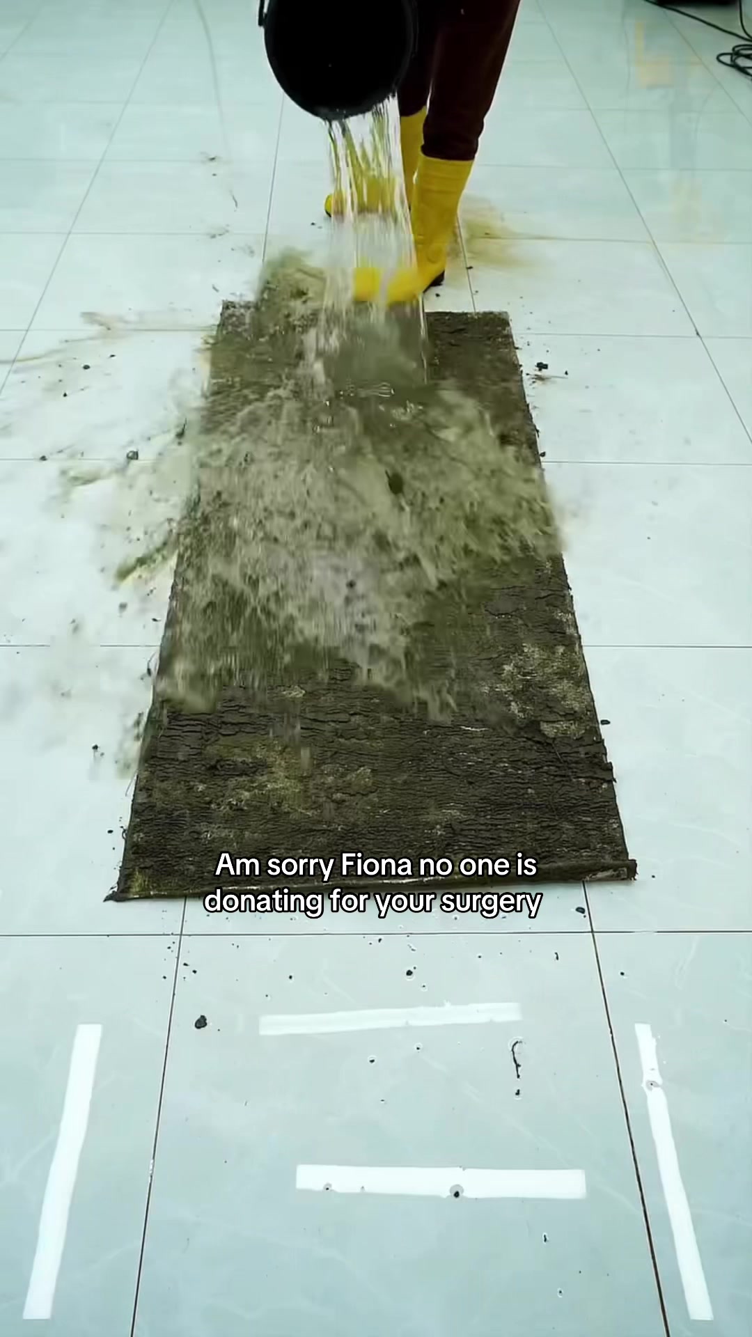 @save Fiona