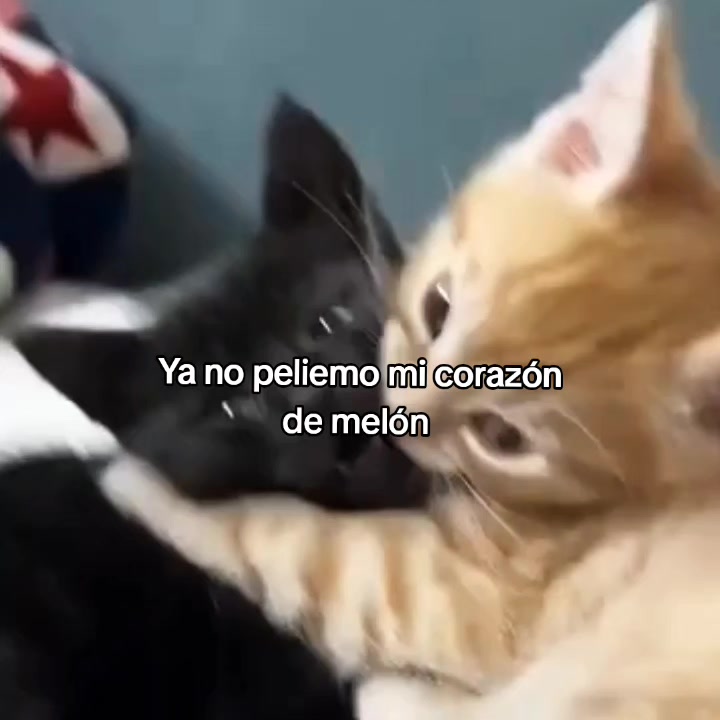 @goodvibessxd
