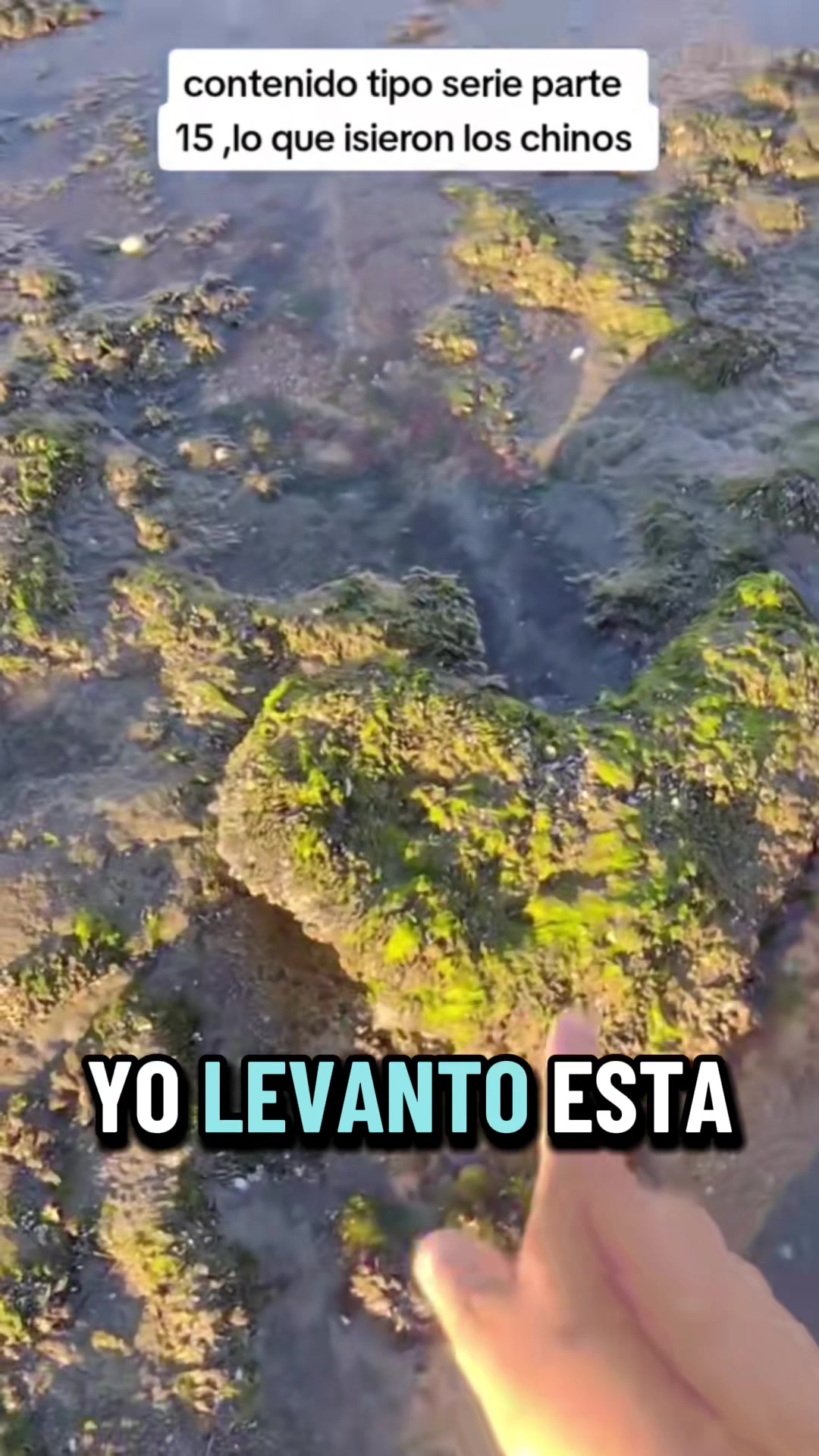 @El flaco