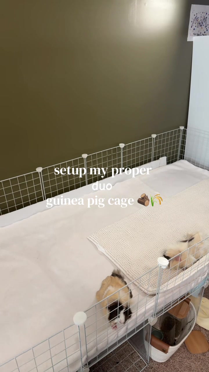 @alexa🤍🐾