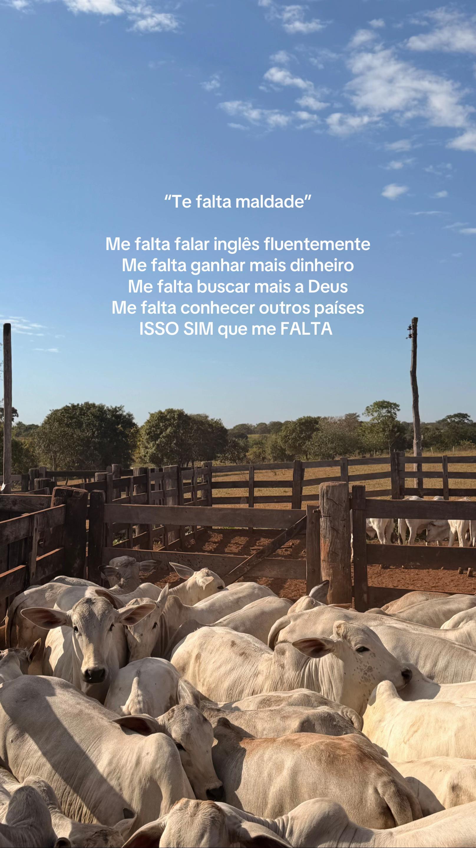 @Bia Rodrigues