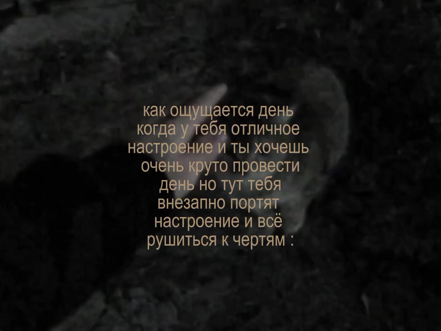 @𝘼𝙍𝙏𝙄𝙎
