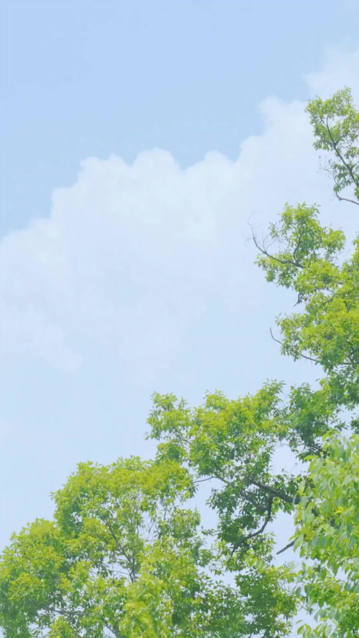 @Anidohkyung..🐧🐧☽̶☾