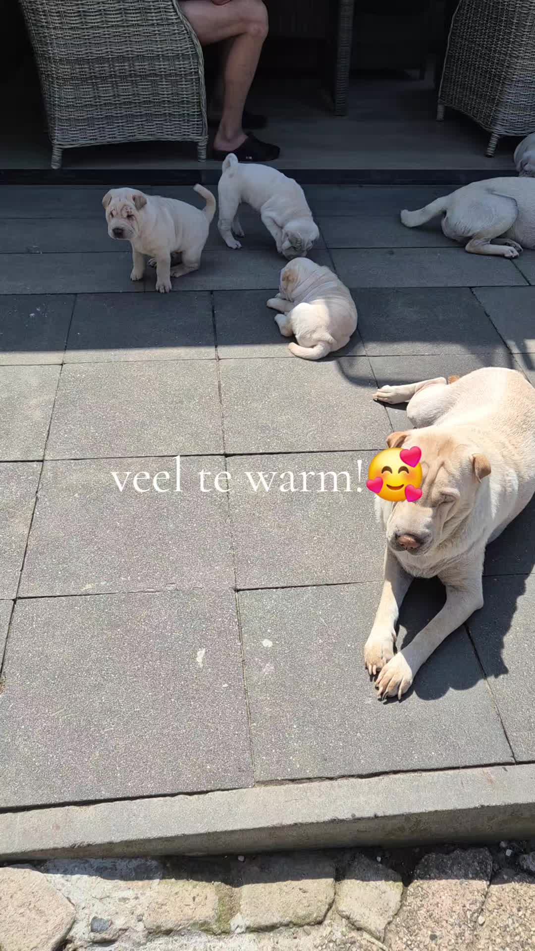 @Wendy Aarts