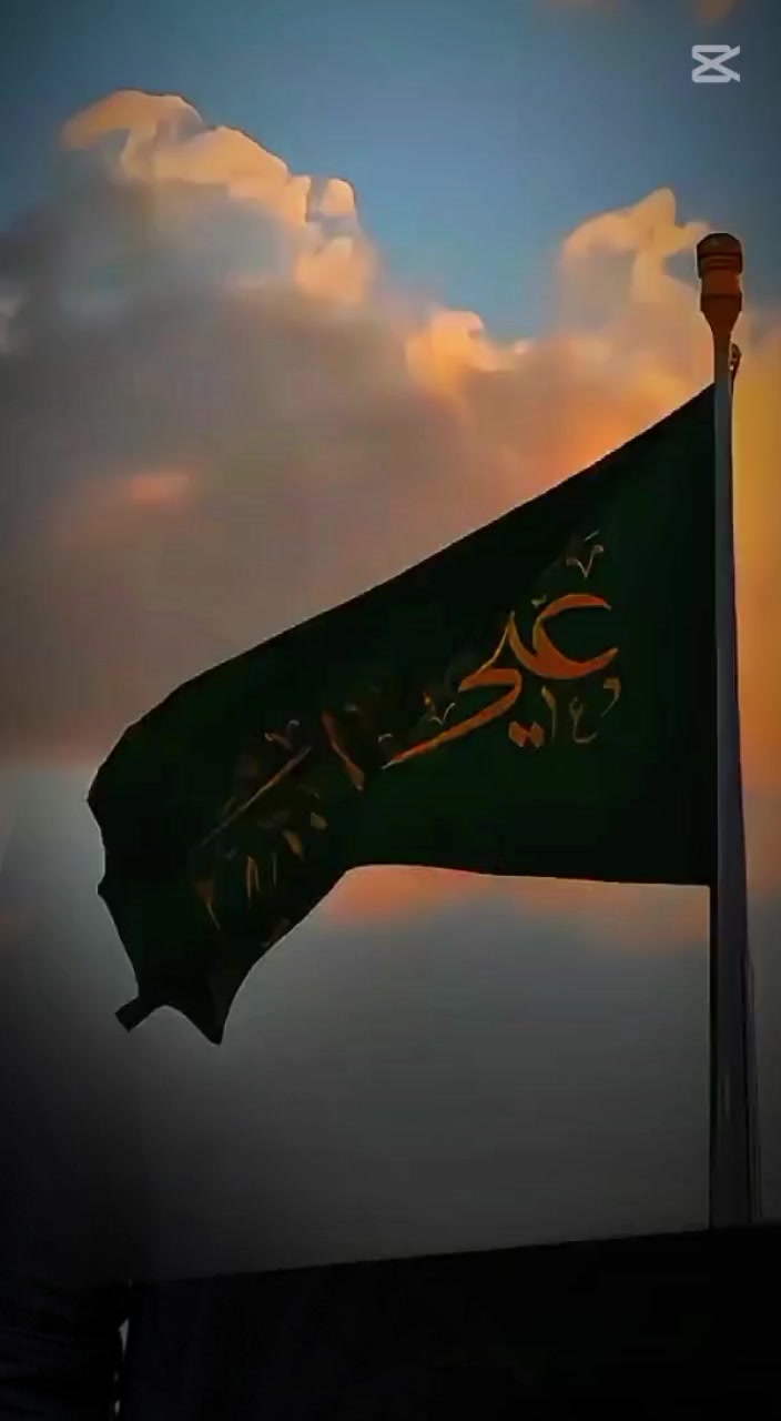 @🇵🇰Anees 🇵🇸Malik🇵🇰🇵🇸