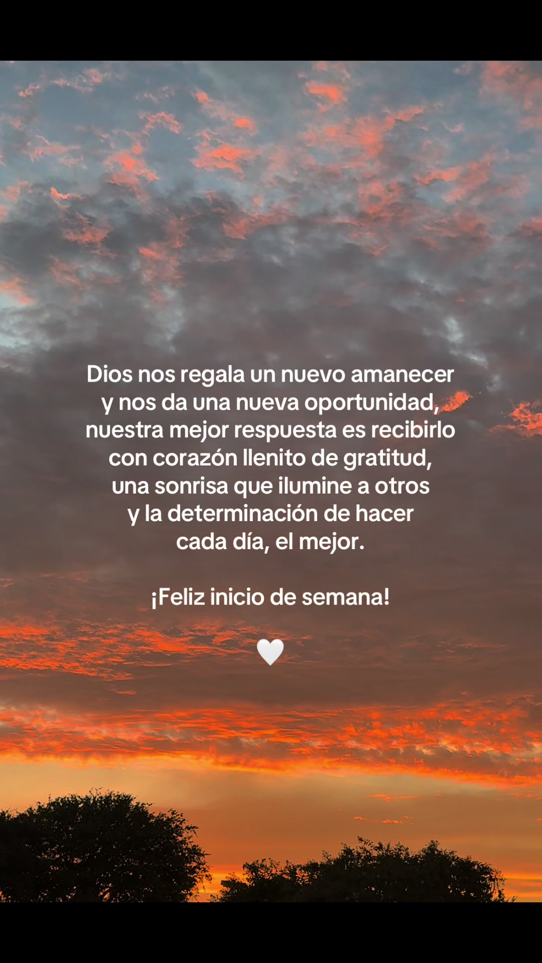 @thaniaSayegh💫frases