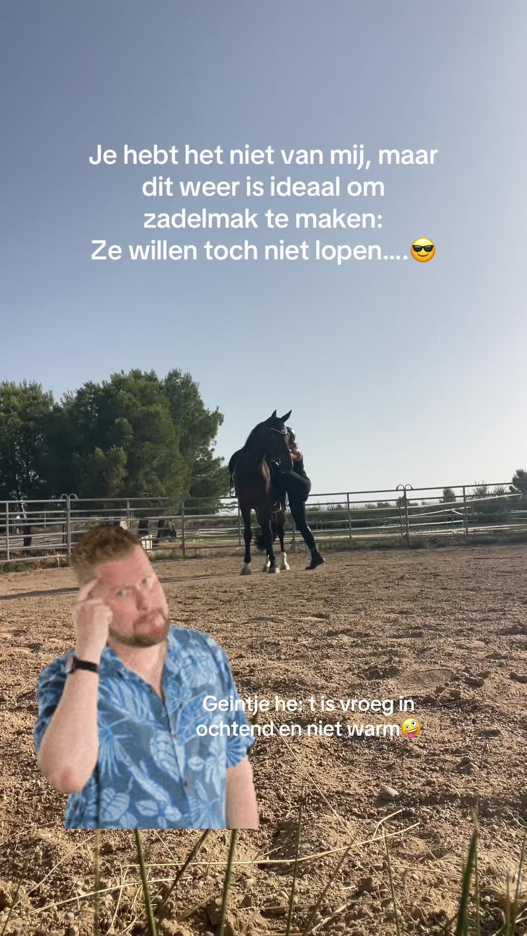 @Liesbeth-EquiViento🐴🇪🇸