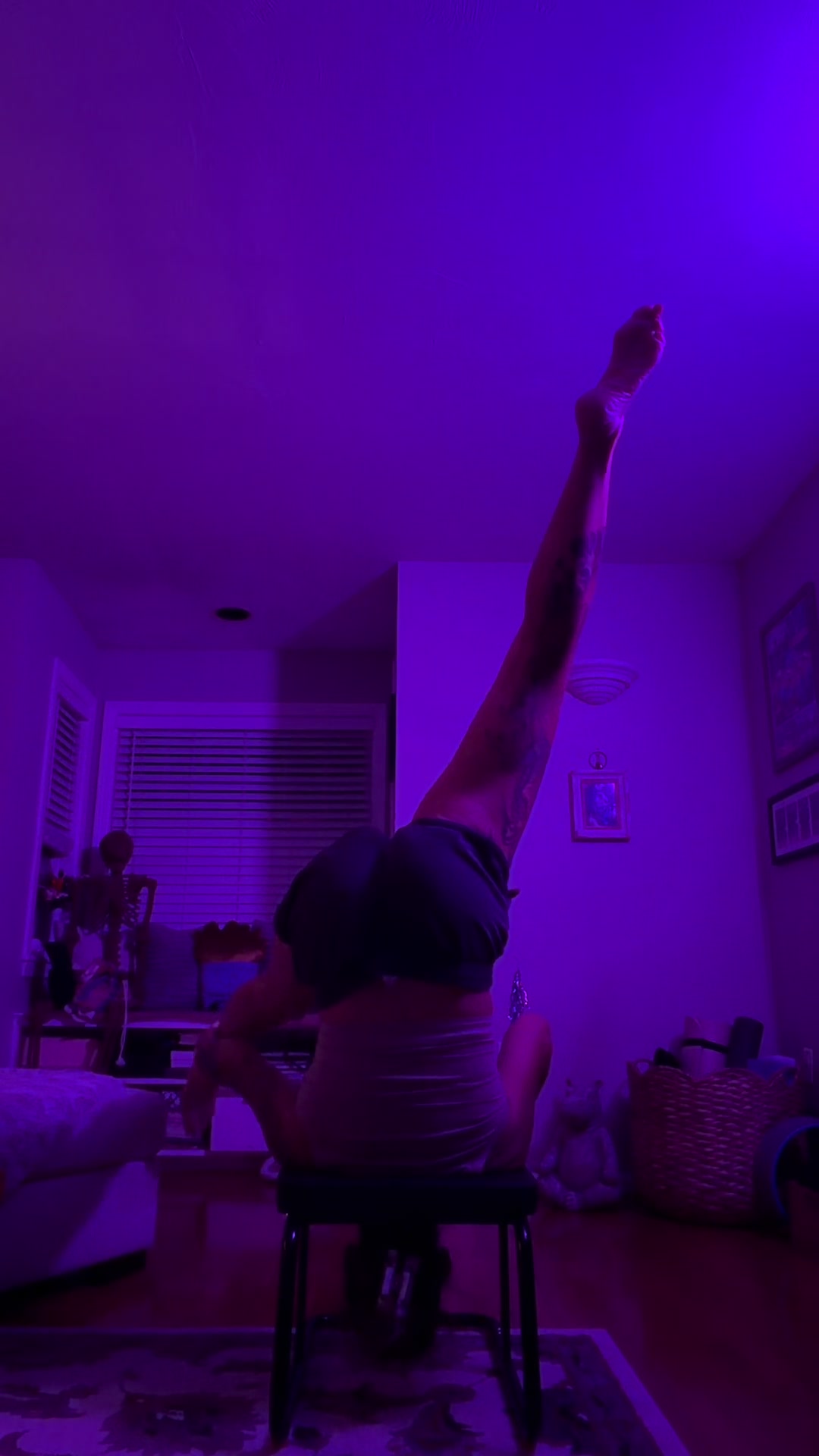 @gardengirl8440