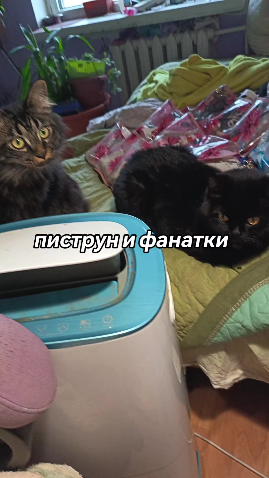 @amusleninblyadina