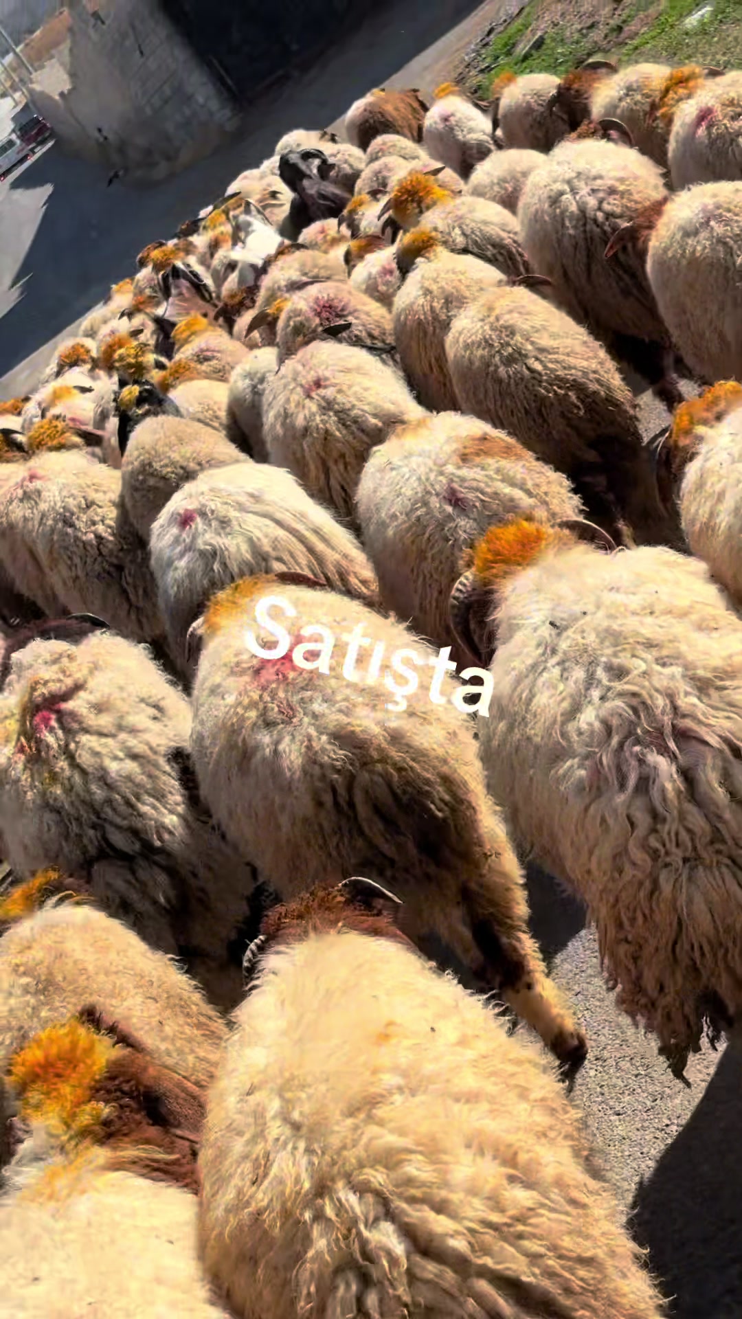 @Ahmet S&ouml;nmez