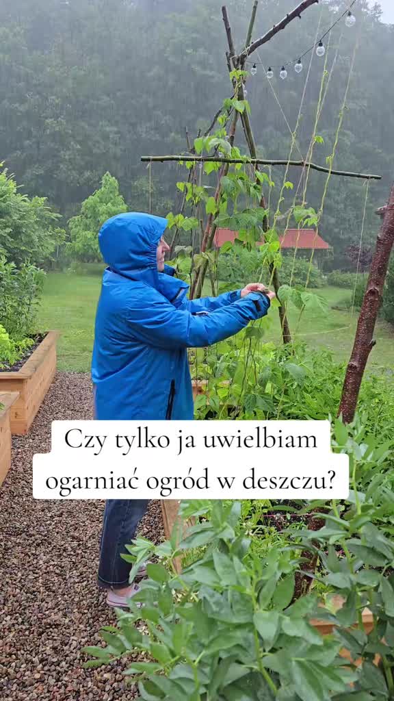 @Sylwia
