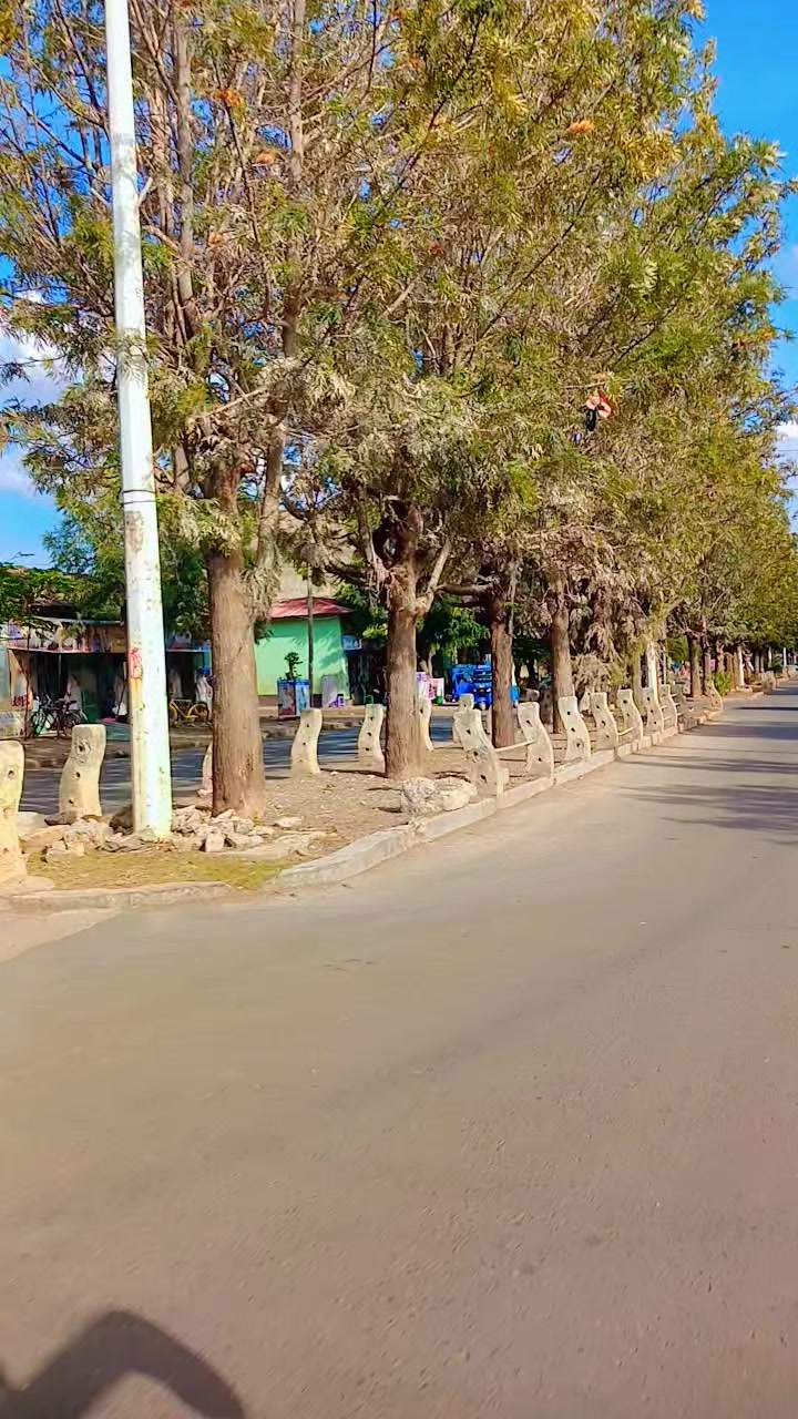 @ሰጋር ጓል ቀሺ 🔰💊