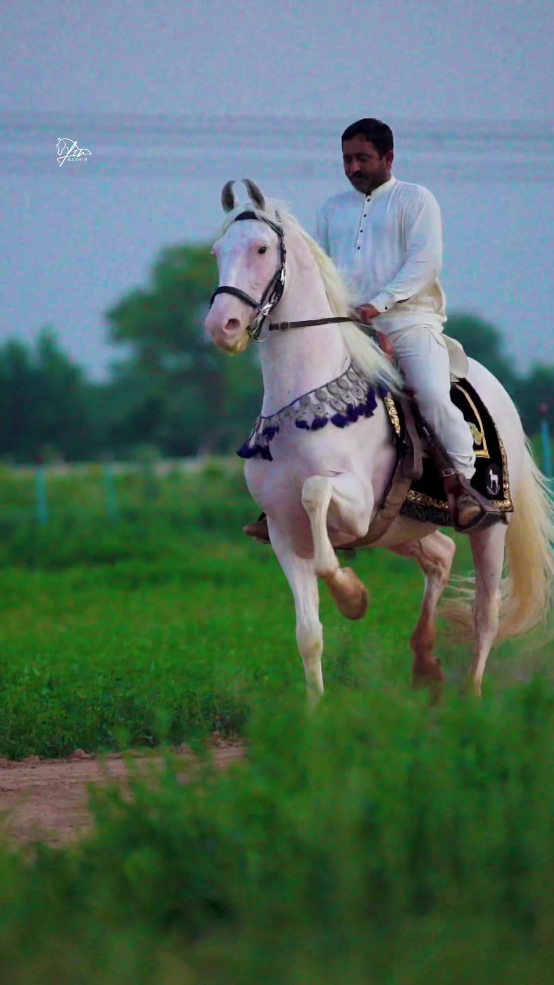 @SUNRISE STUD FARMS RAWALPINDI