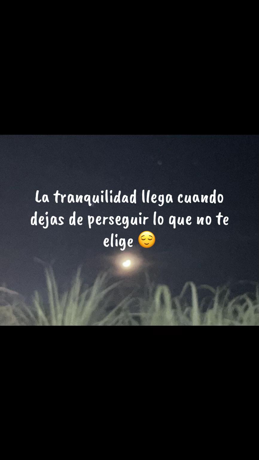 @Genoveva
