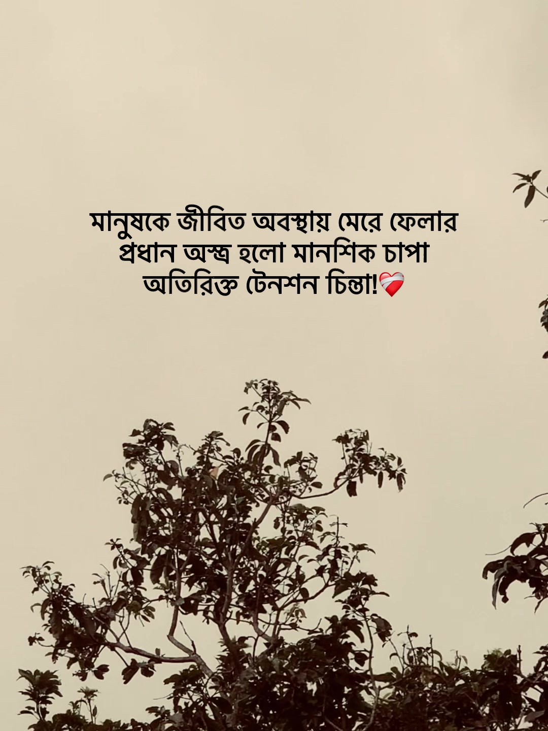 @Jit Baiddya🧃