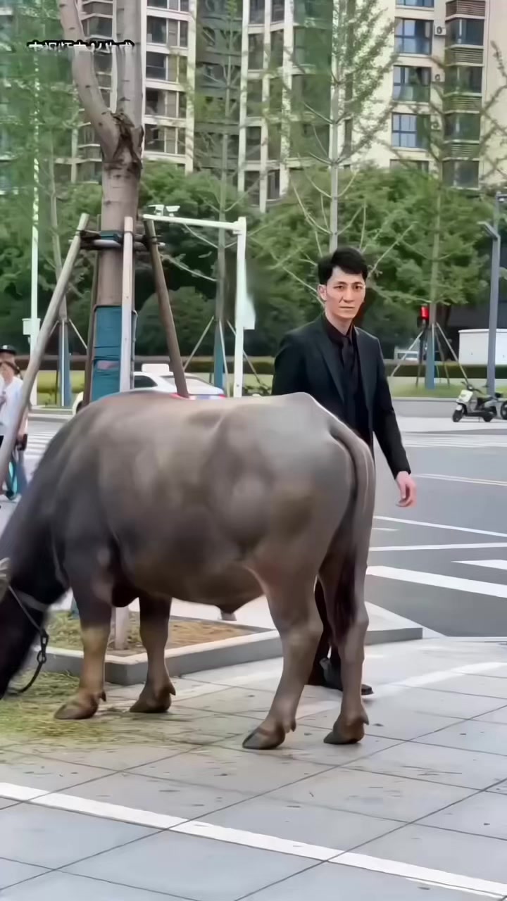 @L&ecirc; Thu