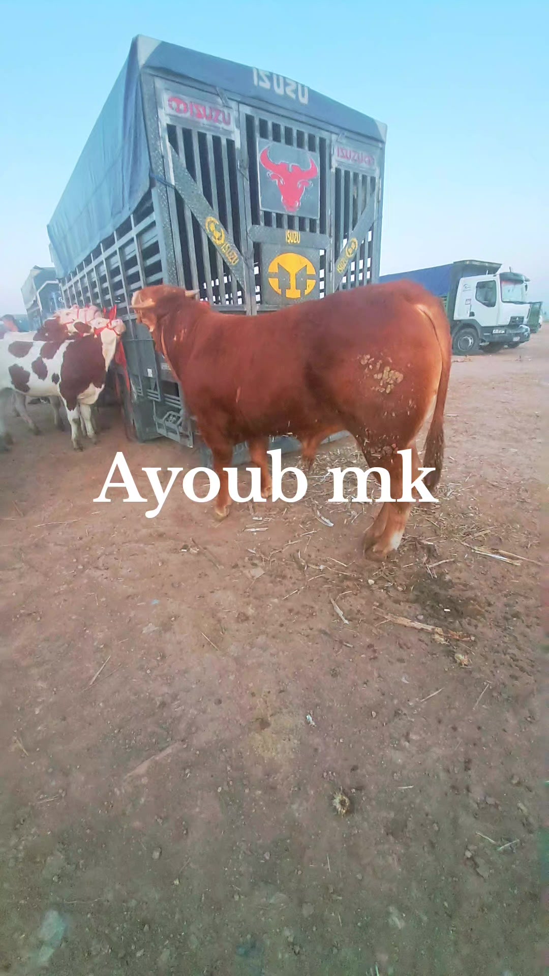 @Ayoub mk