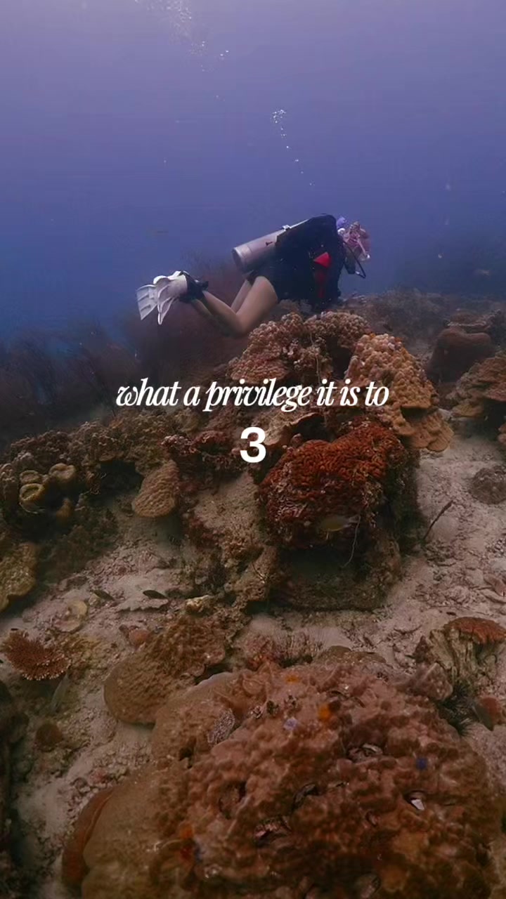 @Sandra | Scuba girl 🇩🇪🇬🇧