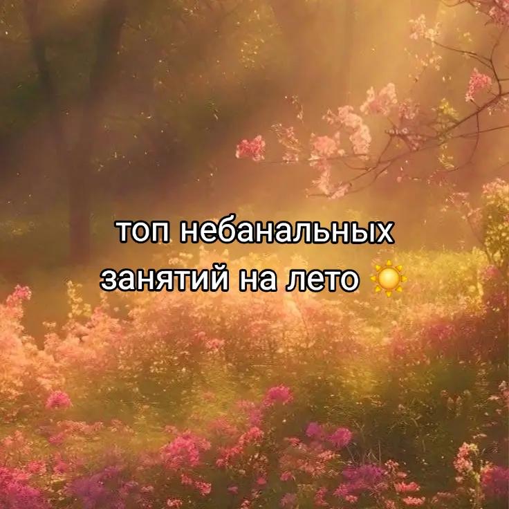@Котяра в стране Евро-чудес
