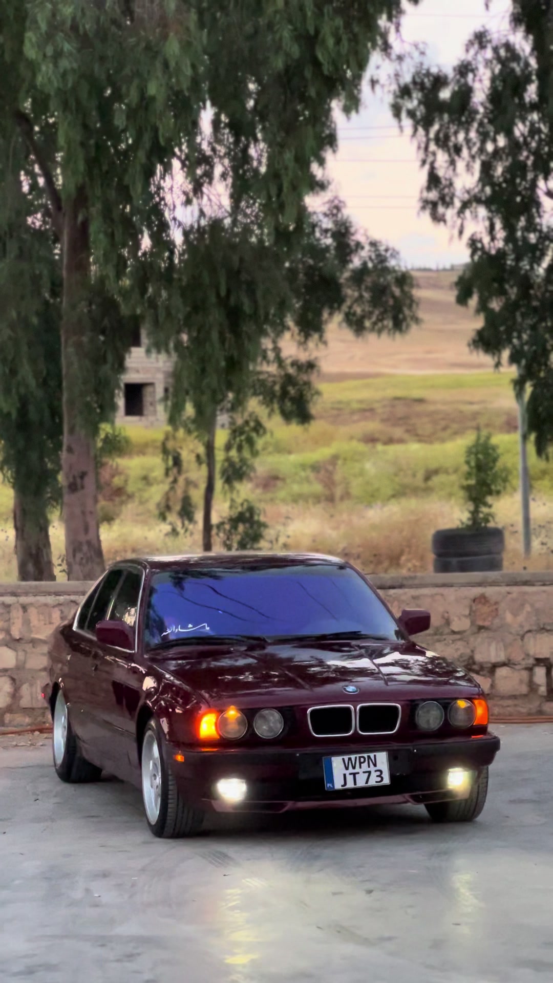 @ᴀʀᴀ ✪