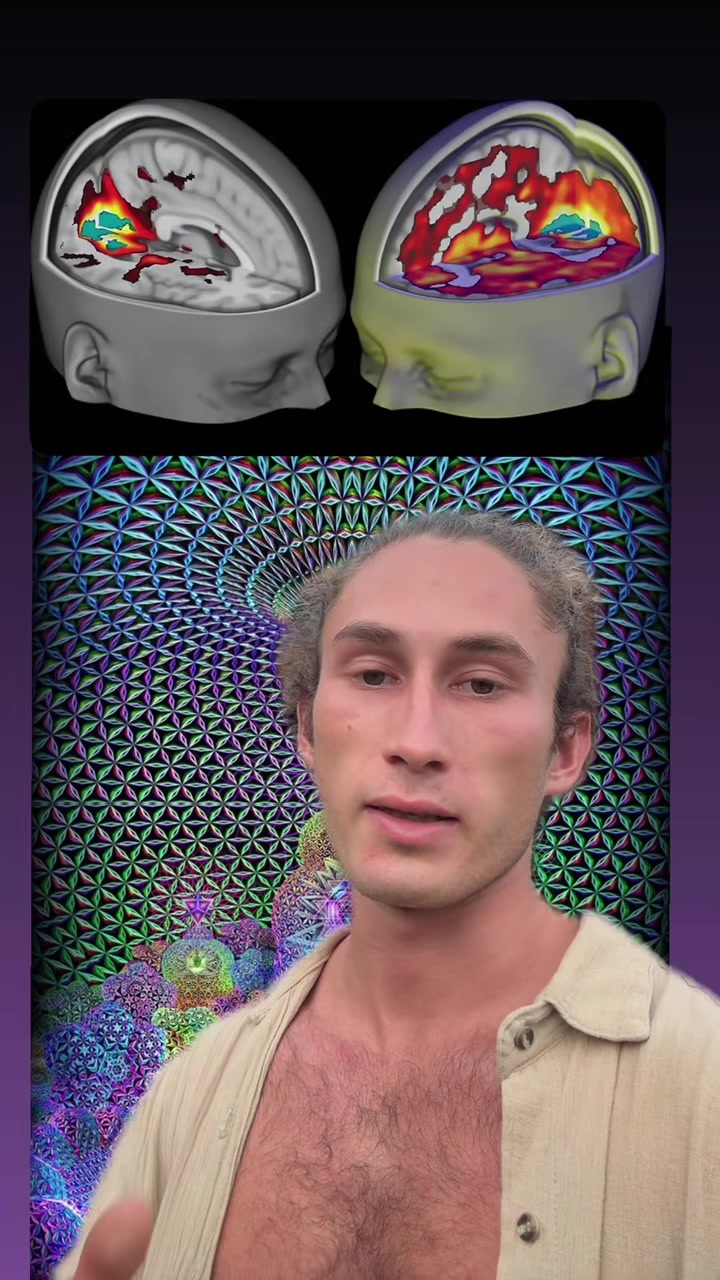 @ARI MALLOY