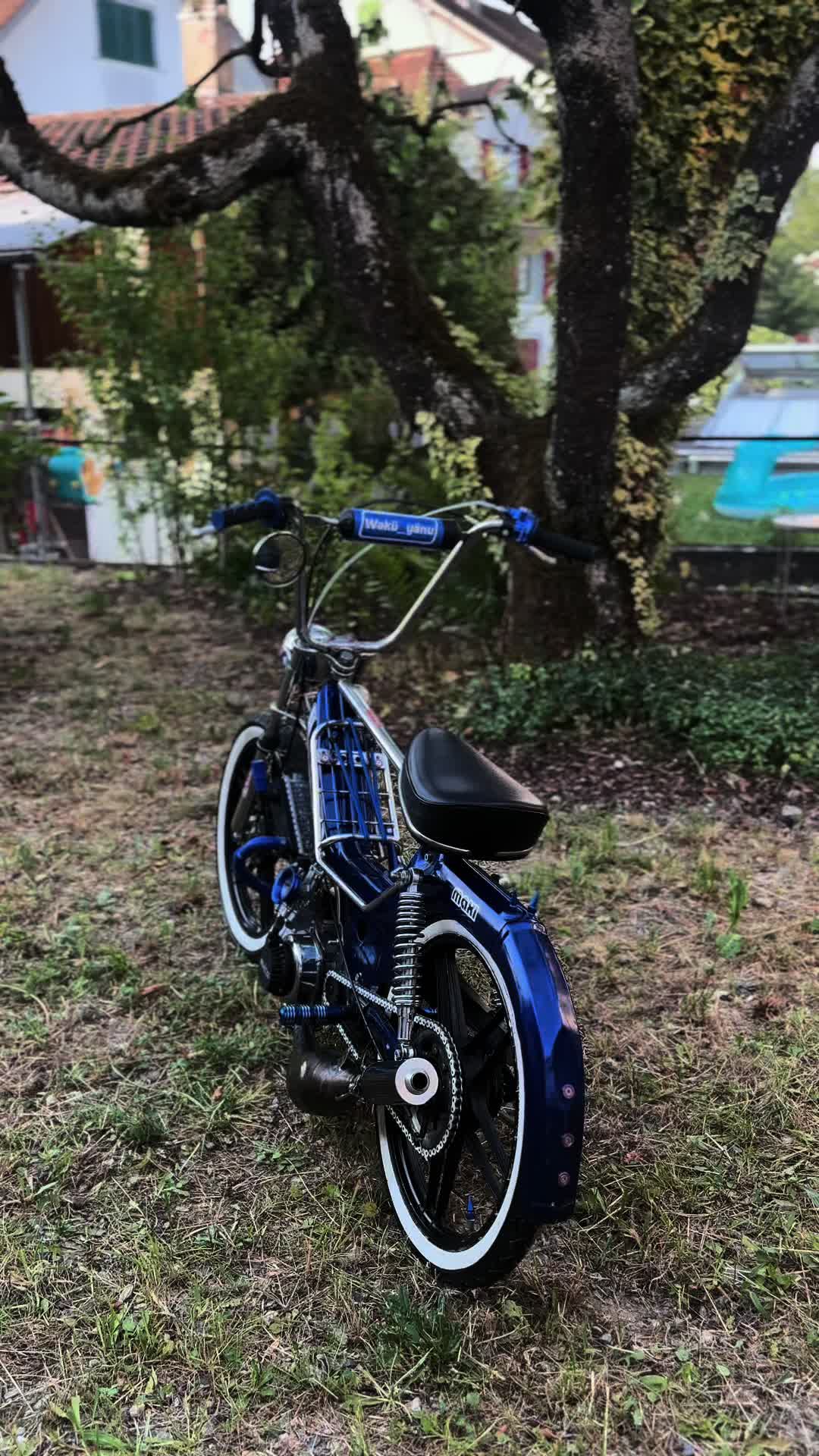 @𝐖𝐚𝐤𝐮̈_𝐲𝐚̈𝐧𝐮🔵🦕