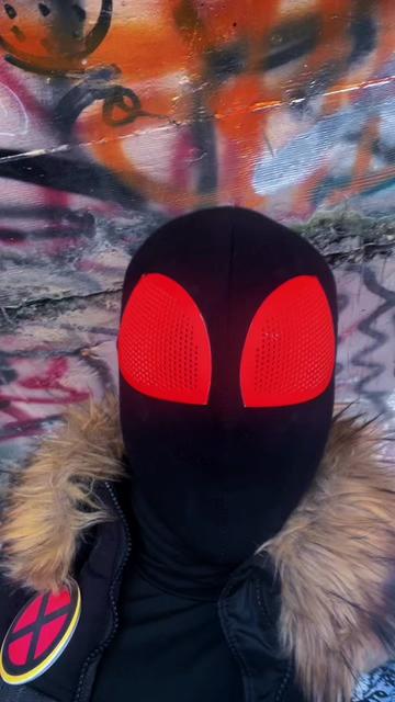 @Wolf-Spider