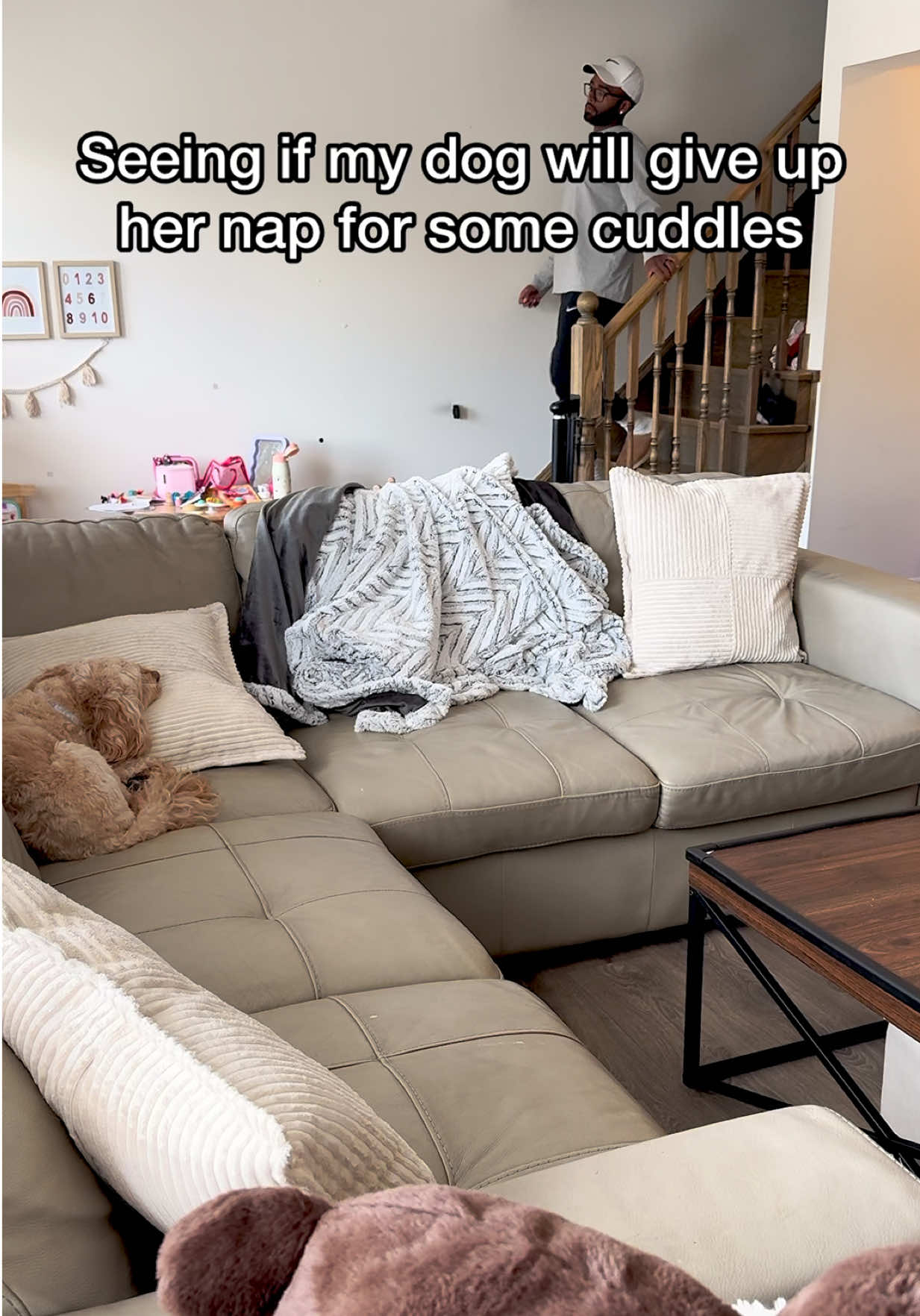 @LunaTheMiniCockapoo