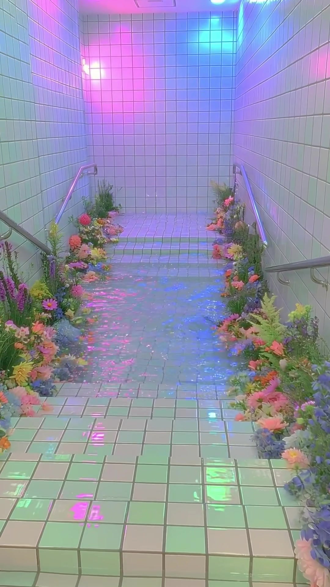 @𝐅𝐞𝐯𝐞𝐫𝐃𝐫𝐞𝐚𝐦𝐞𝐫